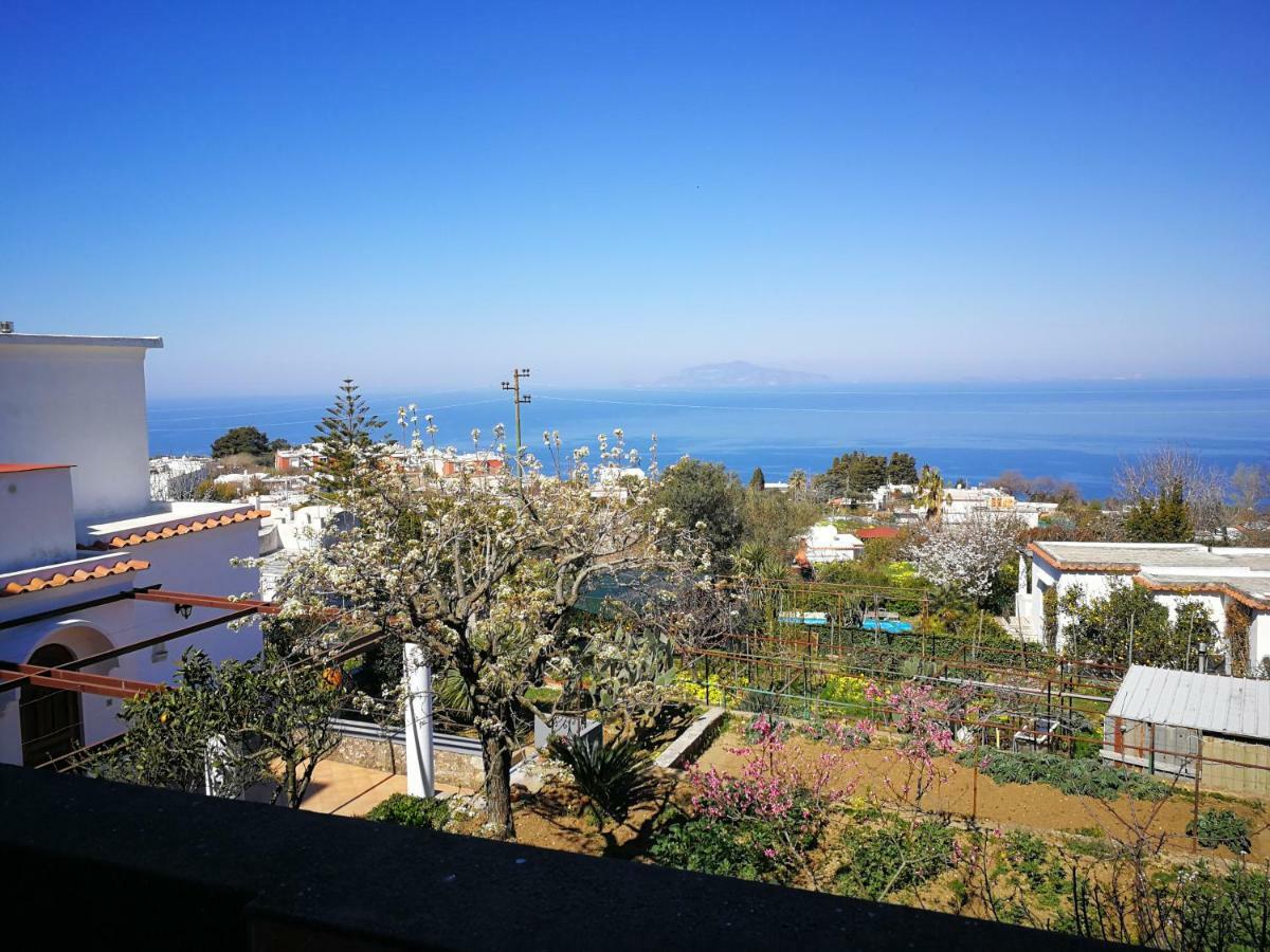 Maryhome Anacapri  Dış mekan fotoğraf